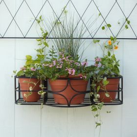 Argyle Window Box