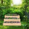 3 Tier Elevated Wooden Vegetable Garden Bed