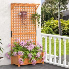 Raised Garden Bed with Trellis and Hanging Roof