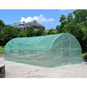 8-Window Walk-in Greenhouse