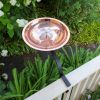 Dogwood Birdbath with Rail Mount Bracket