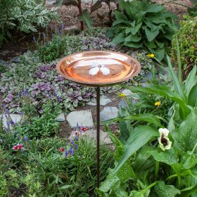 Dogwood Birdbath with Stake