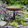 Red African Daisy Birdbath with Tripod Stand