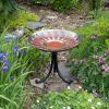 Red African Daisy Birdbath with Tripod Stand