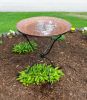 24" Hammered Copper Birdbath with Ring Stand