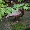 Bronzed Doves