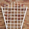 Fan Shaped Trellis with Pointed Finals