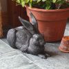 Charcoal Rabbit