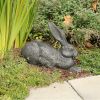 Charcoal Rabbit