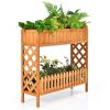 2 Tier Raised Garden Bed & Planter Box