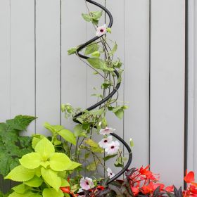 Spiral Trellis