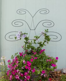 Butterfly Trellis