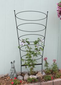 Ovals Trellis