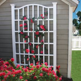 White Vinyl Trellis with Arch Top