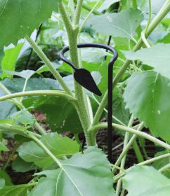 Wrought Iron Plant Stake