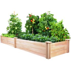 Cedar Wood Raised Garden Bed Planter Frame