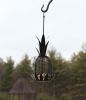 Pineapple Bird Feeder