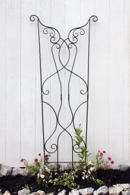 Rococo Trellis