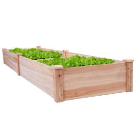 Solid Cedar Raised Garden Bed Planter