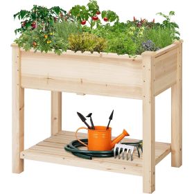 Solid Wood 2-Tier Raised Garden Bed with Bottom Storage Shelf