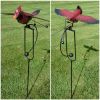 Red Cardinal Swing Stake