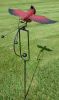 Red Cardinal Swing Stake