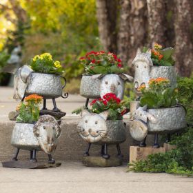 Set of 6 Assorted Galvanized Animal Planters