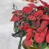 Iron Reindeer Planter