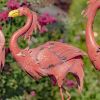 4 Bright Pink Iron Flamingos in Different Poses