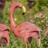 4 Bright Pink Iron Flamingos in Different Poses