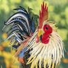 "Chester" the Painted Iron Rooster Decoration