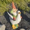 Spring Gnome Riding a Duck