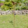 Rusty Raven Garden Swing Stake with Glass Ball