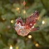 Set of 6 Assorted Three-Piece Acrylic Cardinal Chain Ornament