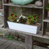 Cape Cod White Flower Box