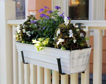 Cape Cod White Flower Box (Size: Small)