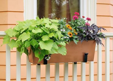 Plain Copper Flower Boxes (Size: Medium)