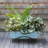 Odette Medium Flower Box and Stand