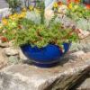 Solaria French Blue Planter