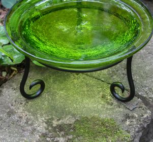 12 Inch Crackled Glass Birdbath with Short Stand (Color: Fern Green)