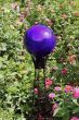 12" Gazing Globe (Color: Blue)