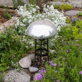 Toadstool Stands (Size: Small)