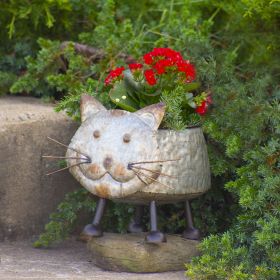 Galvanized Animal Planter of Various Animals (Style: Cat)