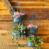 Set of 2 Dual Wall Hanging Iron Basket Planters "Copenhagen 1843"