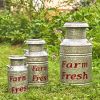 Set of 3 Galvanized Old Style Milk Jug Planters