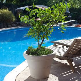 Round Planter with Poly Resin Finish (Color: Weathered Concrete)