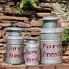 Set of 3 Galvanized Old Style Milk Jug Planters