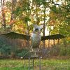 "Wesley" the Large Flying Owl Metal Rocking Stake