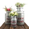 Set of 3 Galvanized Old Style Milk Jug Planters