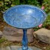 Tall Round Pedestal Birdbath with Bird Details